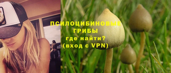 стафф Абдулино