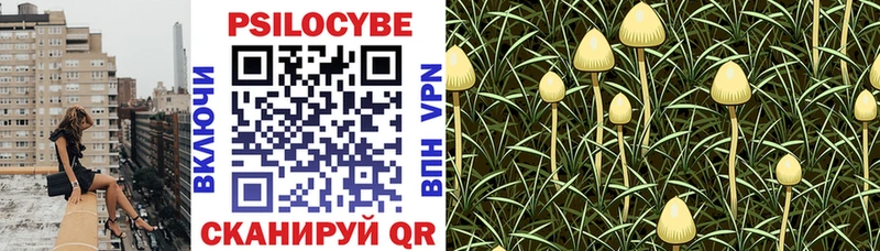 omg рабочий сайт  Зея  Галлюциногенные грибы прущие грибы  купить наркоту 